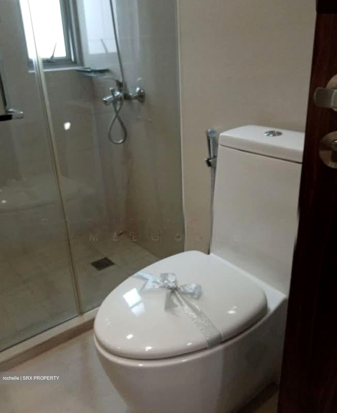 Nassim Regency (D10), Condominium #597111691